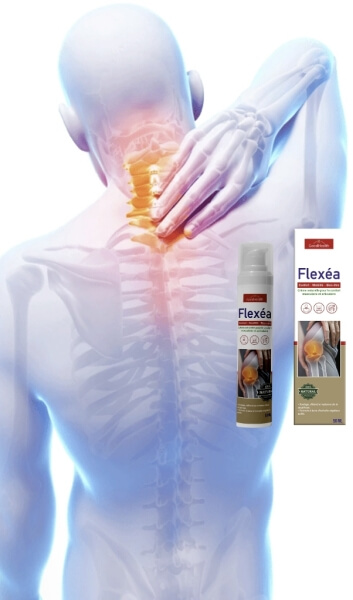 Composition & Ingredients