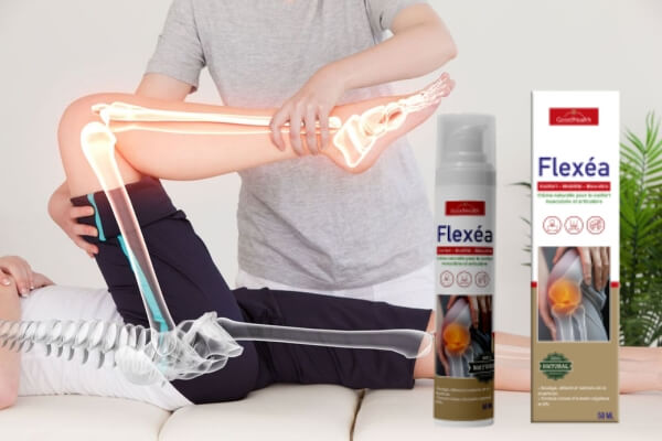 How to Use Flexea – Instructions for Use