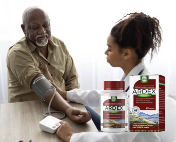 Ardex Price in Mozambique