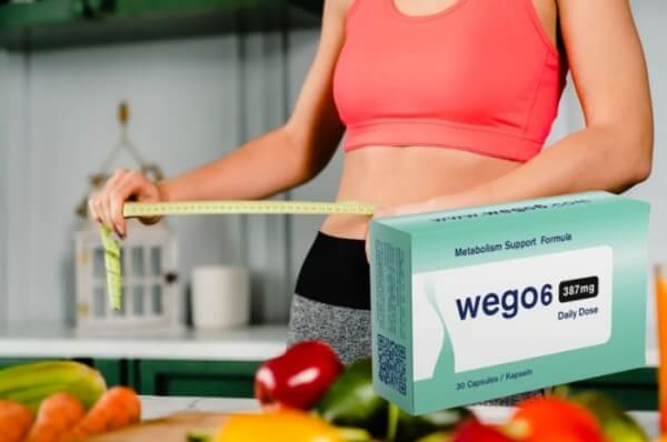 How to Use Wego6 Instructions