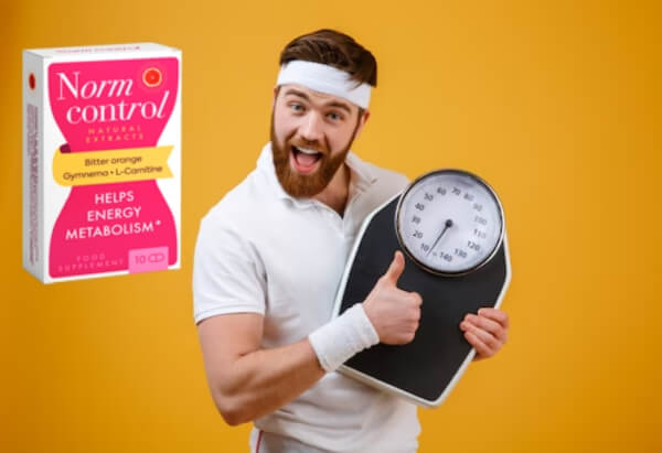 How to Use Normcontrol Instructions